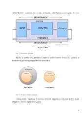 Diagrama, iliustruojanti Bronfenbrennerio ekologinių sistemų teorijos lygius