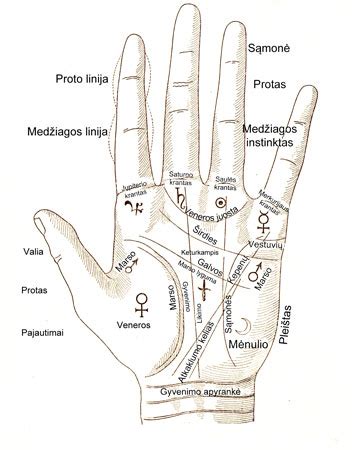 Chiromantijos delno linijos ir vaikų linijos