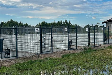 Auka gyvūnų prieglaudai