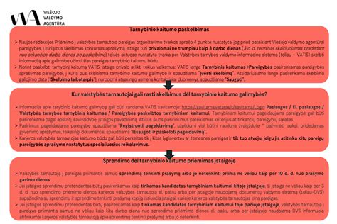 Infografika: proceso schema nuo šaukimo iki tarnybos atlikimo
