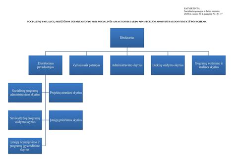 Schema socialinių paslaugų poreikio nustatymo