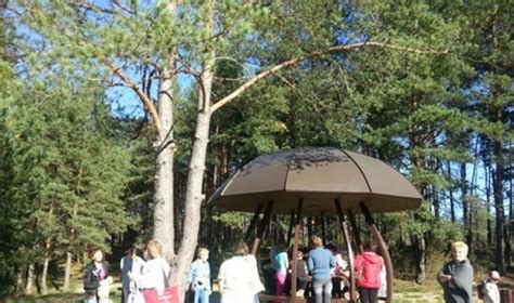 meno terapijos seansas su vaikais