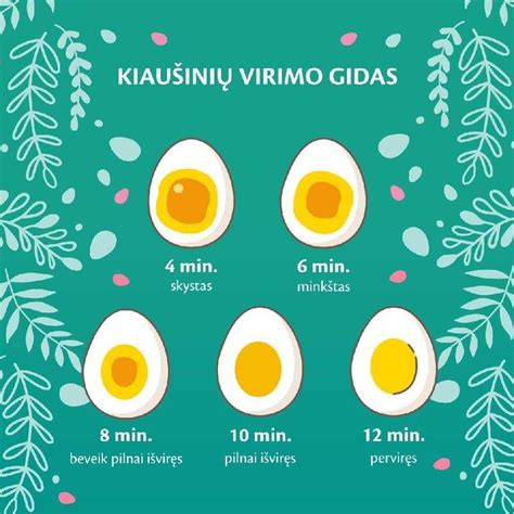 Kiaušinių virimo schema