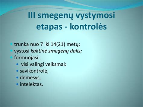 schematinis vaisiaus vystymosi etapas
