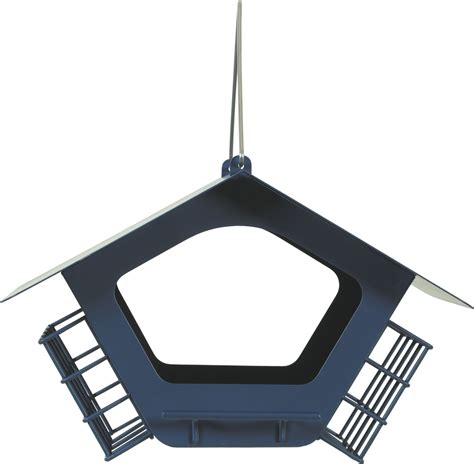 Įvairių paukščių kiaušinių formos ir dydžiai