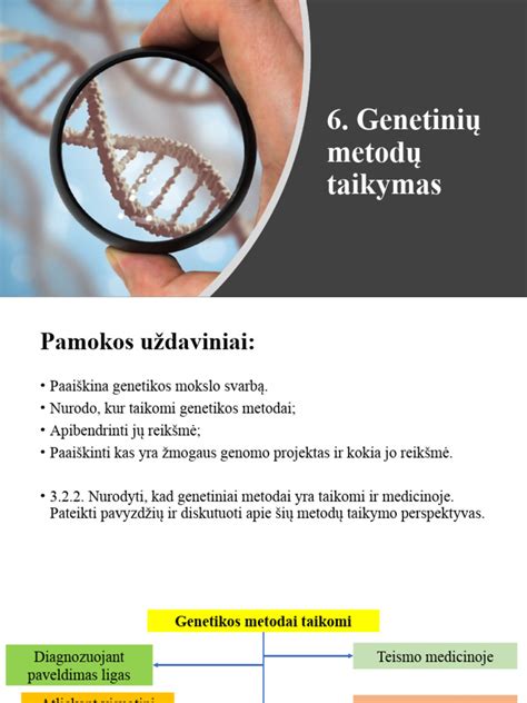 Genetinių tyrimų eiga