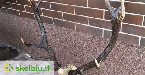 Cernunnos vaizdavimas su gyvūnų ragais