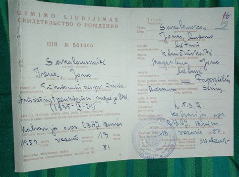 Naujo pavyzdžio gimimo liudijimas