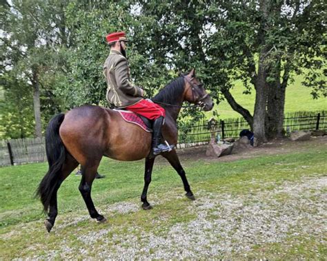 Hipoterapija: vaikas ant žirgo